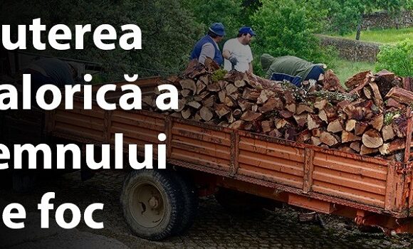 Puterea calorica a lemnului