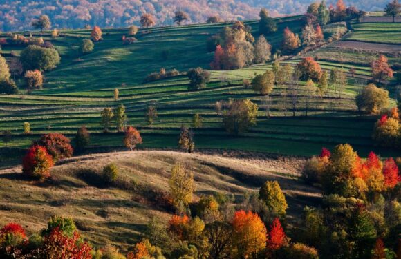 De ce să vizitezi Bucovina toamna? Iată 3 motive pentru un concediu în Țara de Sus