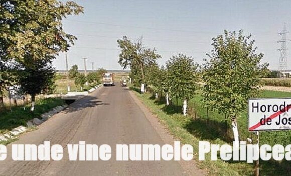 De unde vine numele de Prelipcean?