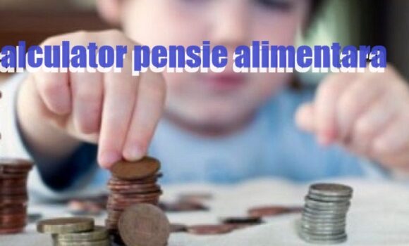Calculator pensie alimentara