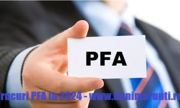 Trucuri pentru PFA in 2024