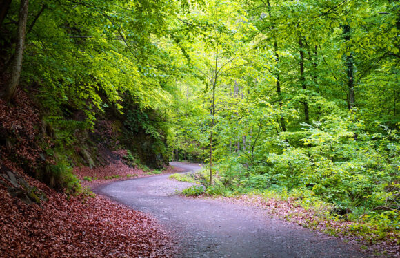 Ghid turistic al parcurilor naturale din judeţul Vâlcea
