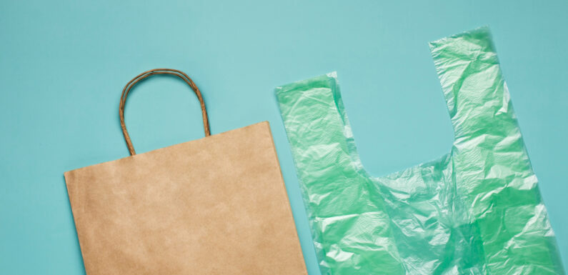 Ambalaje biodegradabile vs. cele din plastic: ce soluție este mai potrivită pentru afacerea ta?