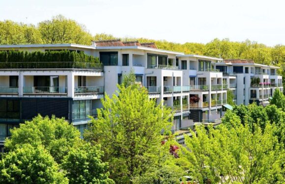 De ce închirierea a devenit alegerea celor care prețuiesc calitatea vieții